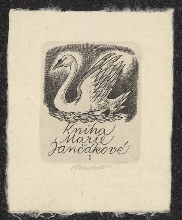 Vojtěch Cinybulk – Kniha Marie Jančákové 