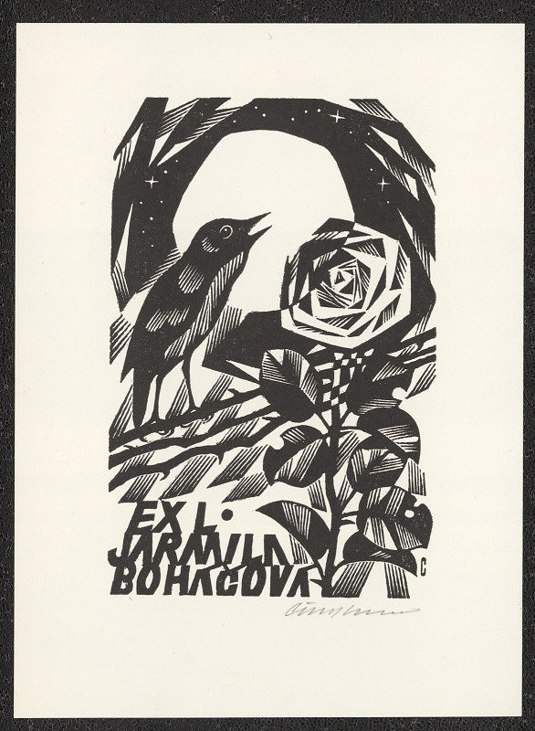 Vojtěch Cinybulk – EXL. Jarmila Boháčová 