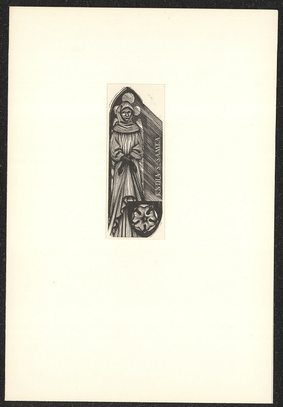 Vojtěch Cinybulk – Kniha S. Samka 