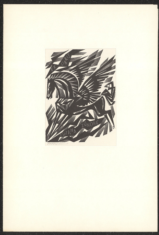 Vojtěch Cinybulk – Ex libris Zuzana Zůnová 