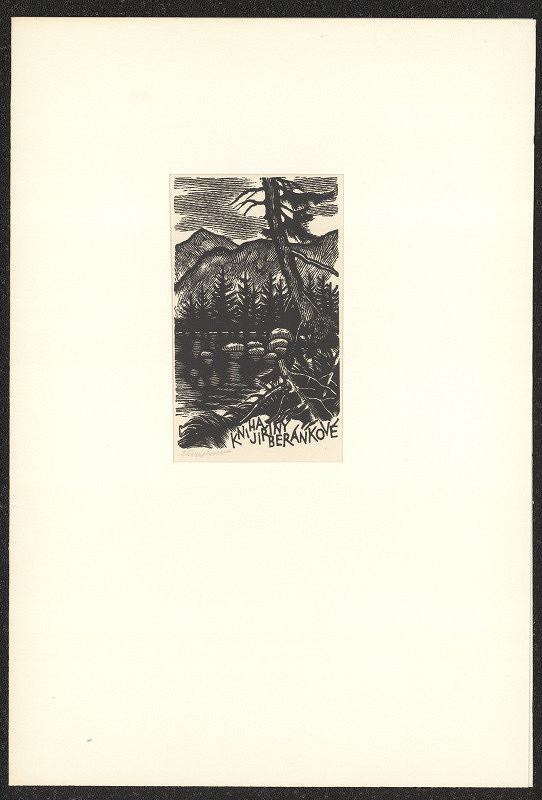 Vojtěch Cinybulk – Kniha Jiřiny Beránkové 