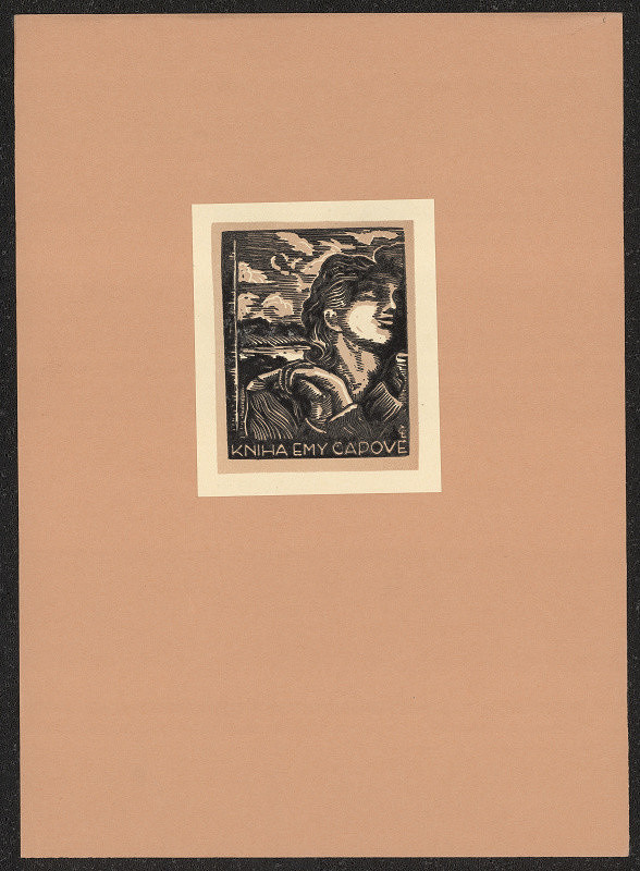 Evžen Čáp – Kniha Emy Čápové 