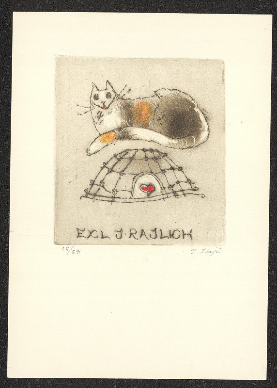 Jaroslav Dajč – Exl. J. Rajlich 