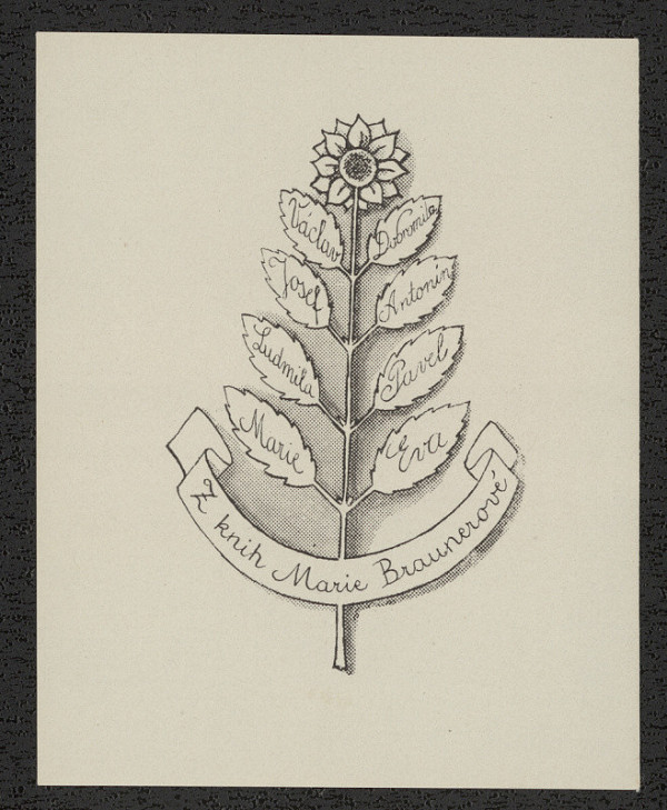 Petr Dillinger – Z knih Marie Braunerové 