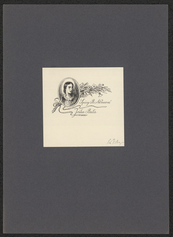 Petr Dillinger – Spisy Boženy Němcové Jožka Baťa 