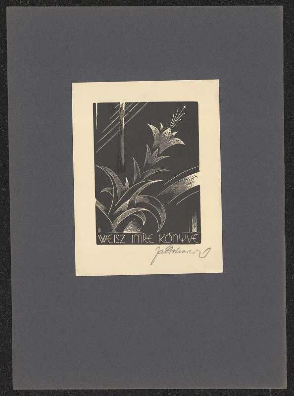 Jaroslav Dobrovolský – Weisz Imre Könyve 