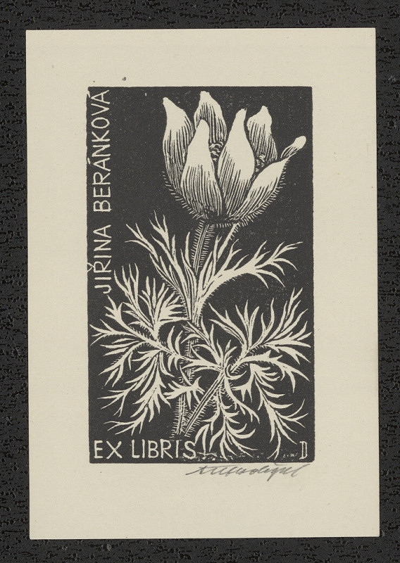 Antonín Doležal – Ex libris Jiřina Beránková 