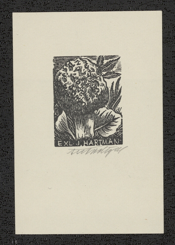 Antonín Doležal – Ex l. J. Hartman 