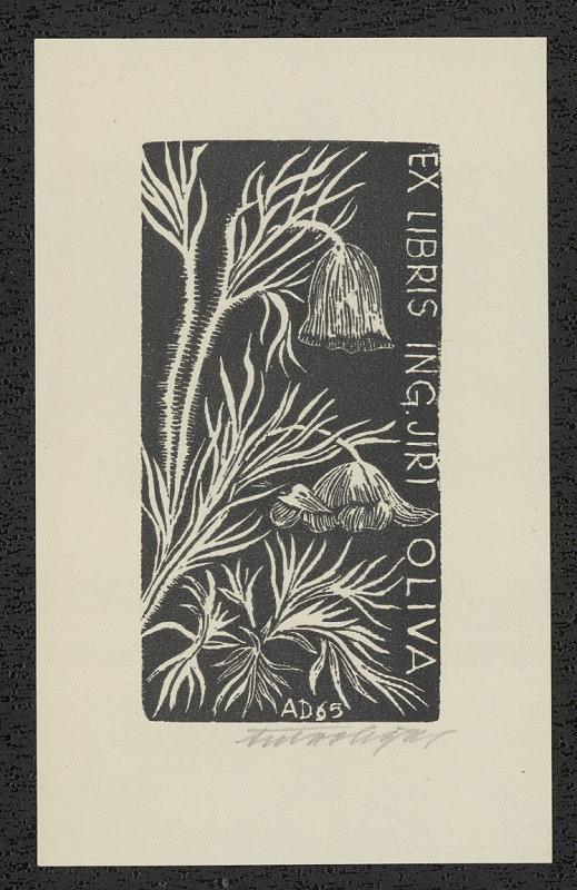 Antonín Doležal – Ex libris Ing. Jiří Oliva 