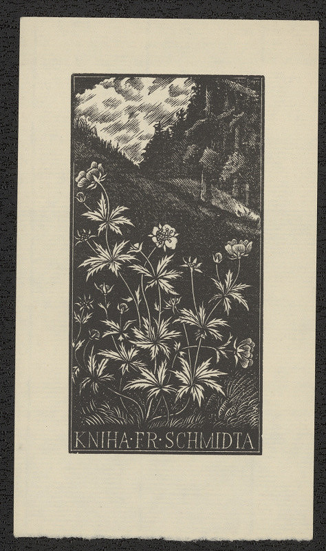 Antonín Doležal – Kniha Fr. Schmidta 