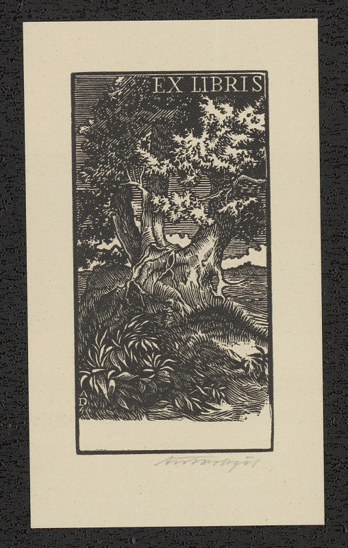 Antonín Doležal – Ex libris (bez jména) 