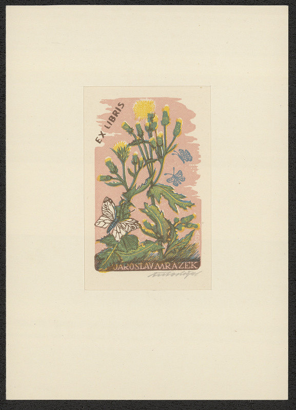 Antonín Doležal – Ex libris Jaroslav Mrázek 