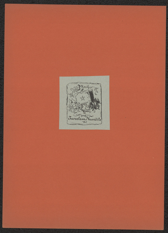 Mikoláš Aleš – Z knih prof.Jaroslava Navrátila 