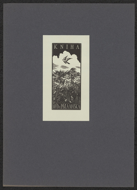 Antonín Doležal – Kniha MUDr. Pavla Maška 