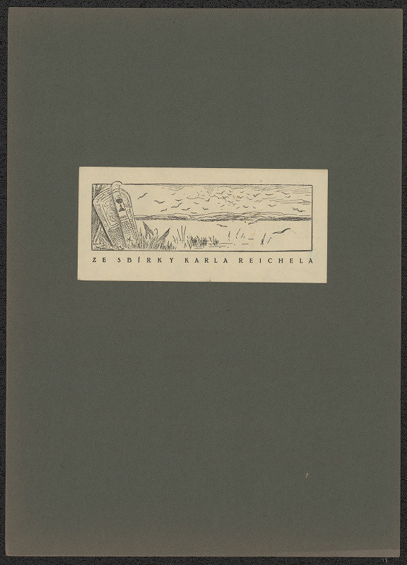 Mikoláš Aleš – Ze sbírky Karla Reichela 