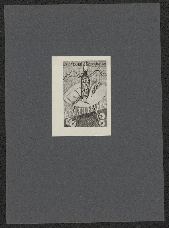 Stanislav Duda – MUDr. Danuše Škovránková 