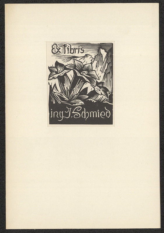 Ferdiš (Ferdinand) Duša – Ing. Jan Schmied 