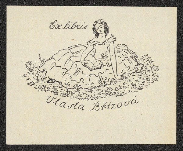 Miroslav Fridrich – Vlasta Břízová 