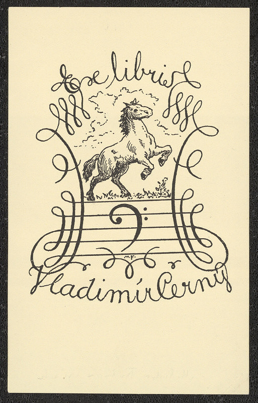 Miroslav Fridrich – Vladimír Černý 