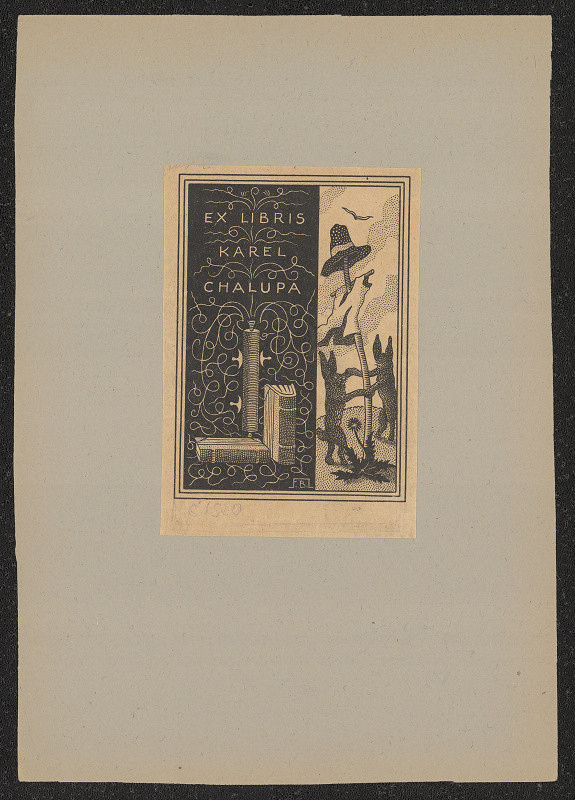 Bedřich Fojtášek – Karel Chalupa 