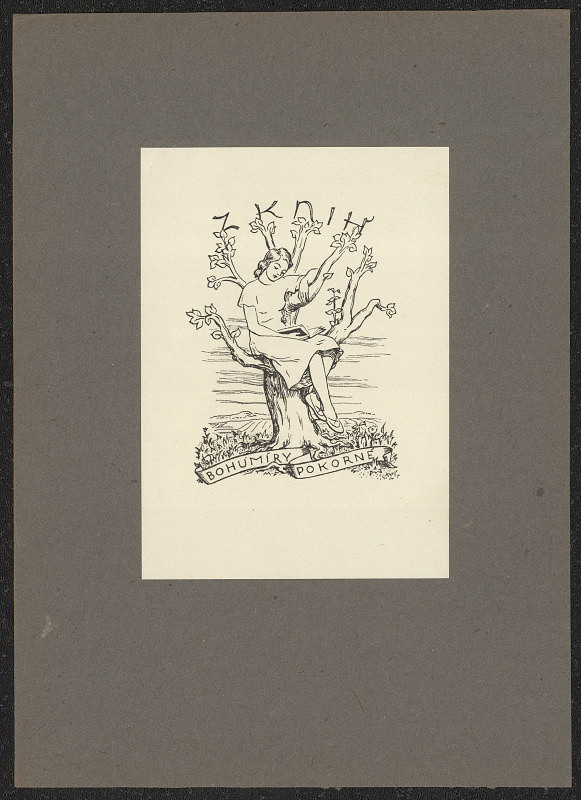 Miroslav Fridrich – Z knih Bohumíry Pokorné 