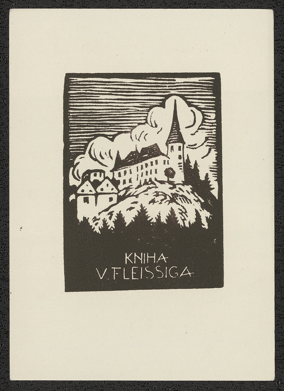 Vítězslav Fleissig – Kniha V. Fleissiga 