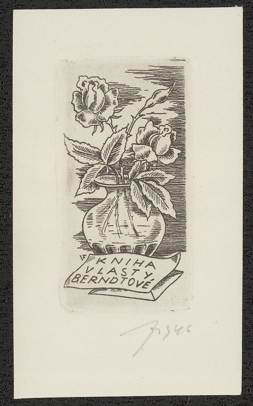 Vítězslav Fleissig – Kniha Vlasty Berndtová 