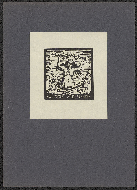 Vítězslav Fleissig – Ex libris Ant. Plecitý 