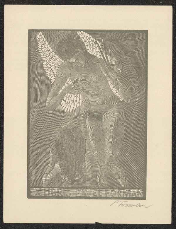 Pavel Forman – Pavel Forman 