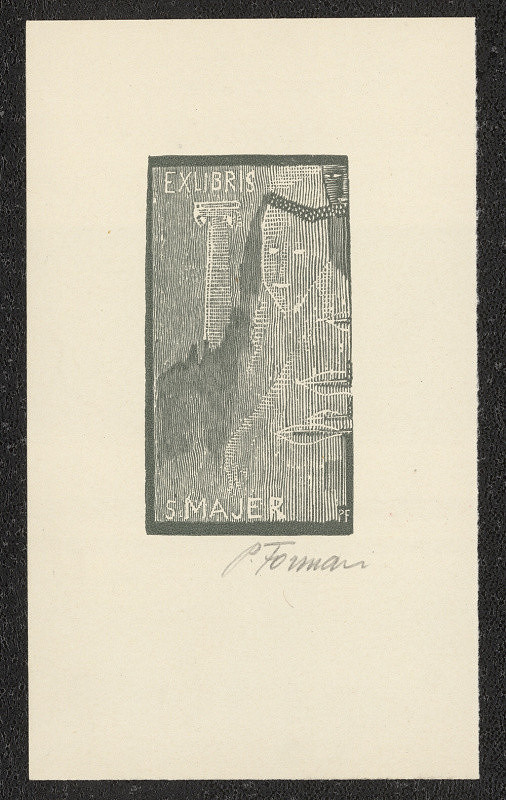 Pavel Forman – S. Majer 