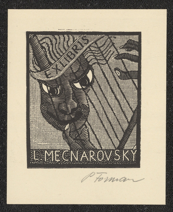 Pavel Forman – L. Mecnarovský 