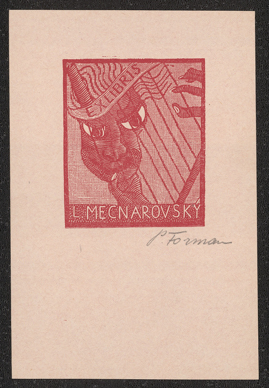 Pavel Forman – L. Mecnarovský 