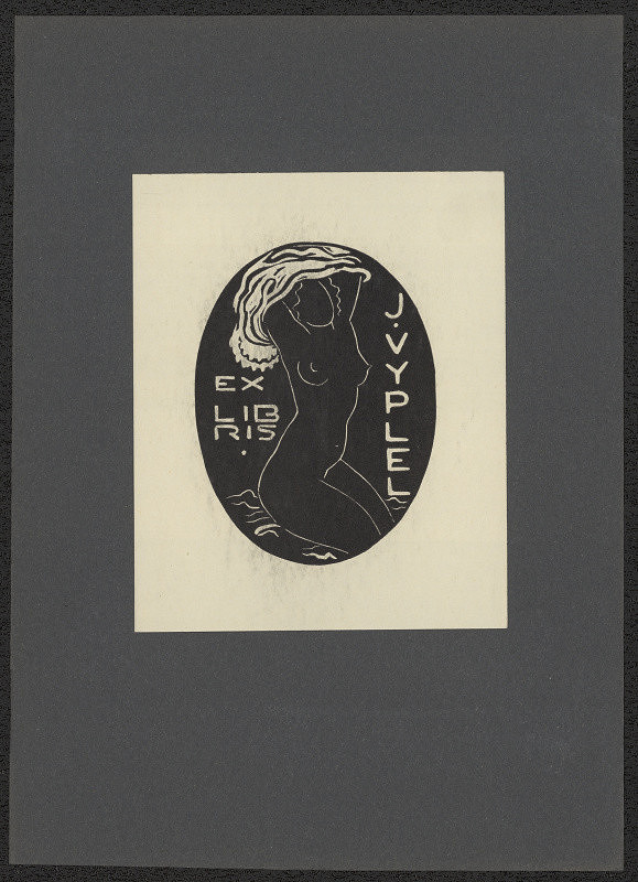 Mikuláš Galanda – J. Vyplej 