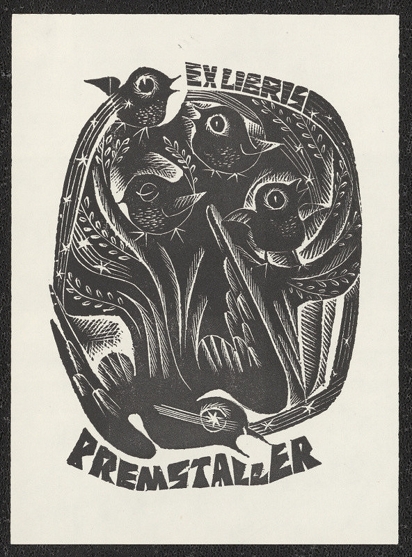 Anna Grmelová – Premstaller 