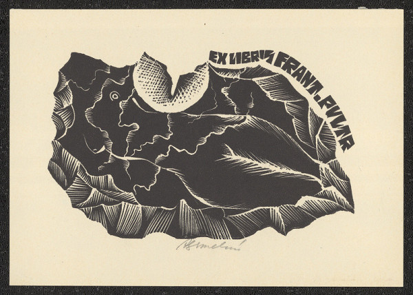 Anna Grmelová – Frant. Pultr 