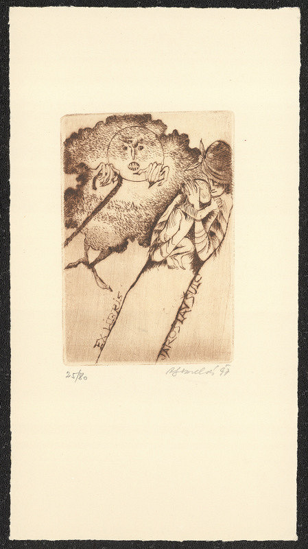 Anna Grmelová – Jaroslav Šulc 