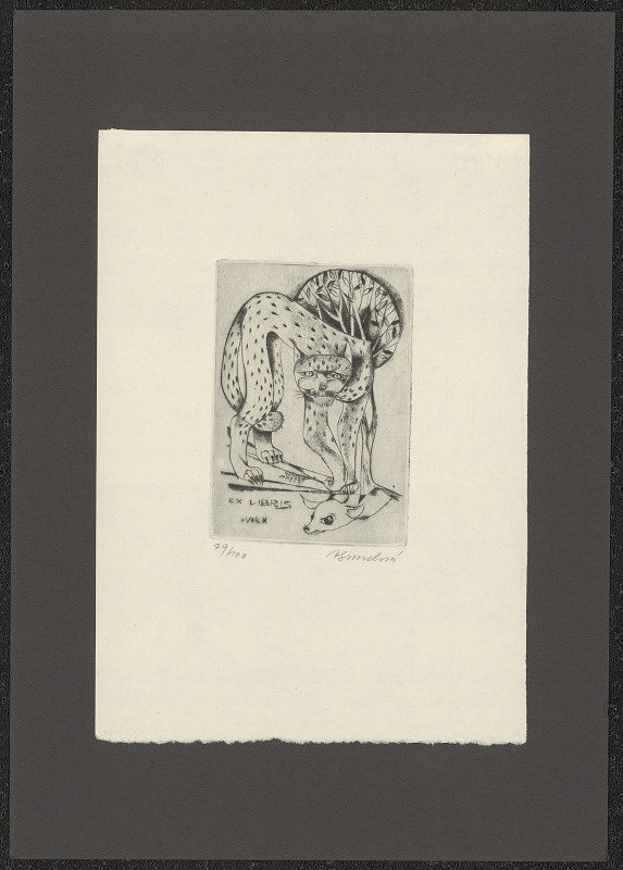 Anna Grmelová – VK (Vladislav Kohout) 