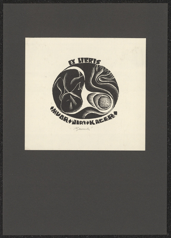 Anna Grmelová – MUDr. Jiří Kačer 