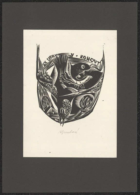 Anna Grmelová – V. Kohout 