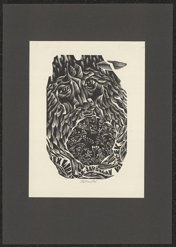 Anna Grmelová – Dr. Jaroslav Vitáček 