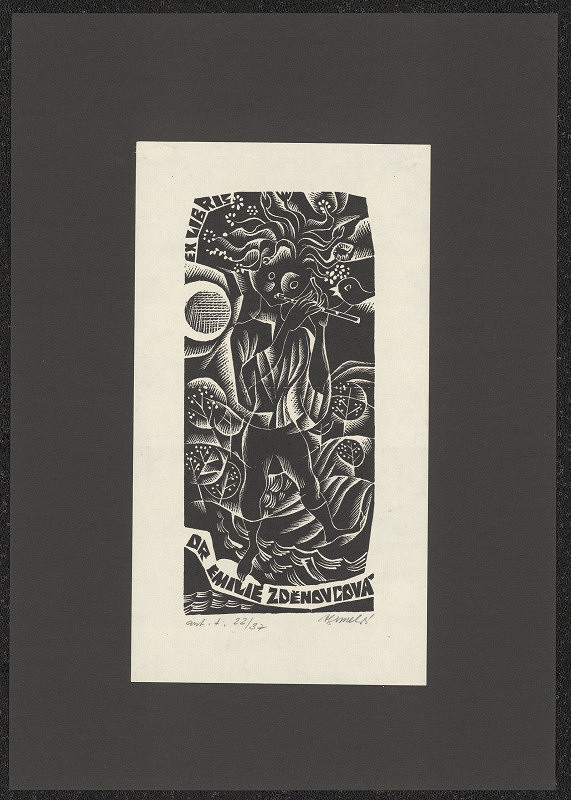 Anna Grmelová – Dr. Emilie Zděnovcová 