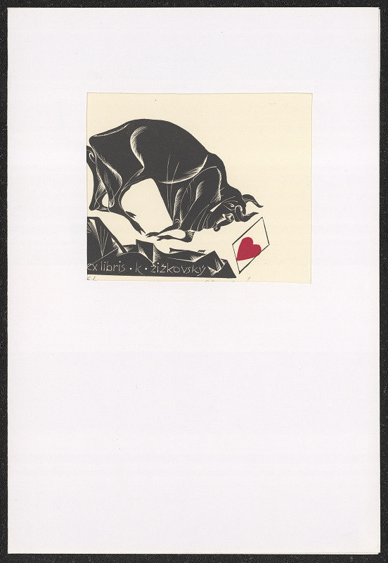 Anna Grmelová – K. Žižkovský 