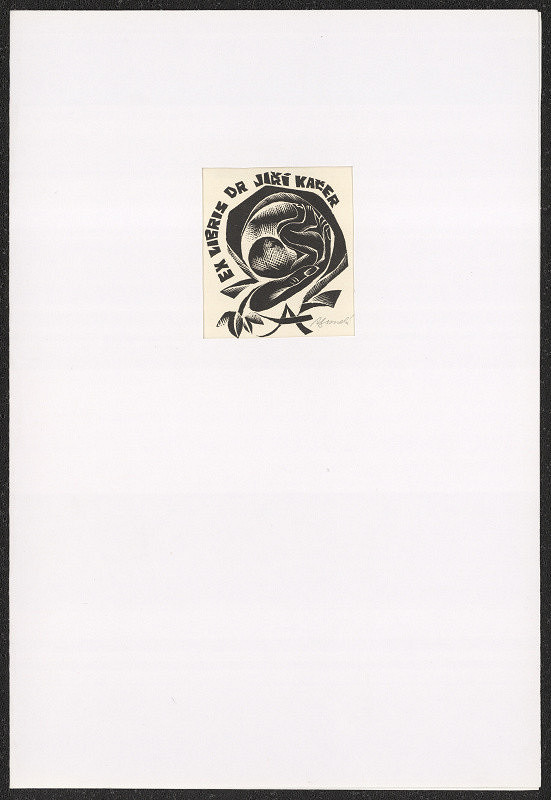 Anna Grmelová – Dr. Jiří Kačer 