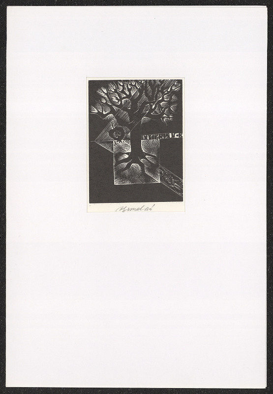 Anna Grmelová – VK (Vác. Křupka) 