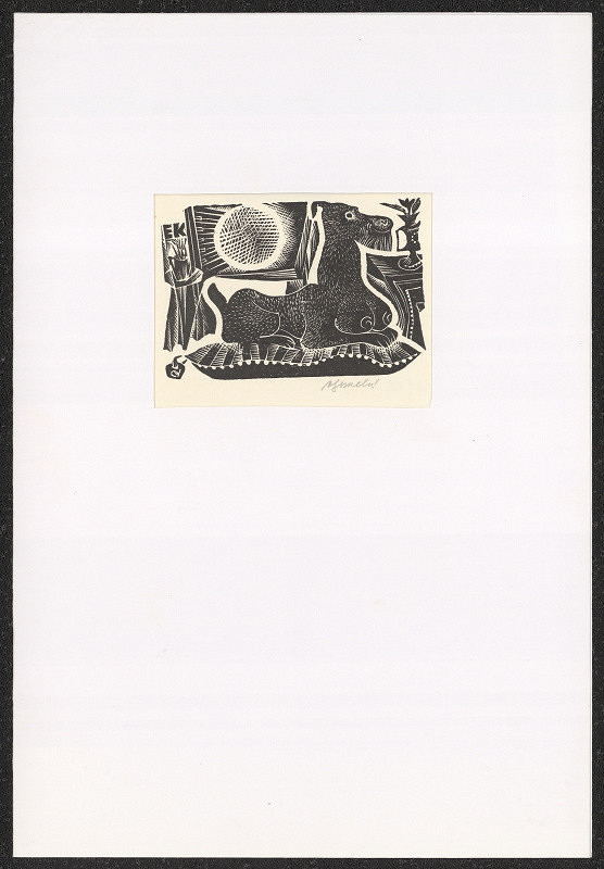 Anna Grmelová – EK (dr. Eva Kačerová) 