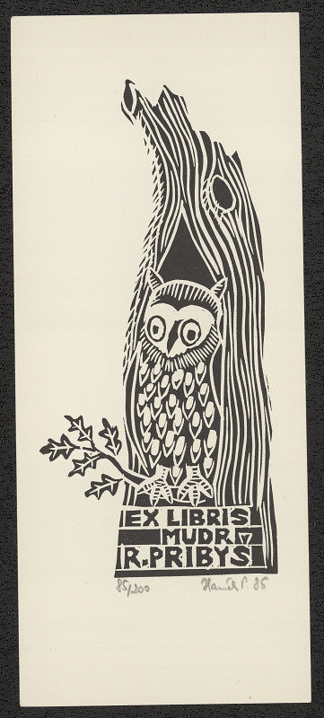 Pavel Hanák – Exlibris Mudr.R.Pribyš 