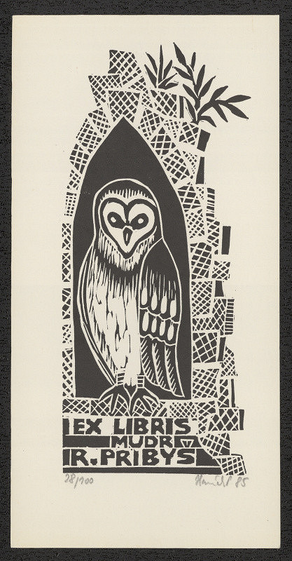 Pavel Hanák – Exlibris Mudr.R.Pribyš 