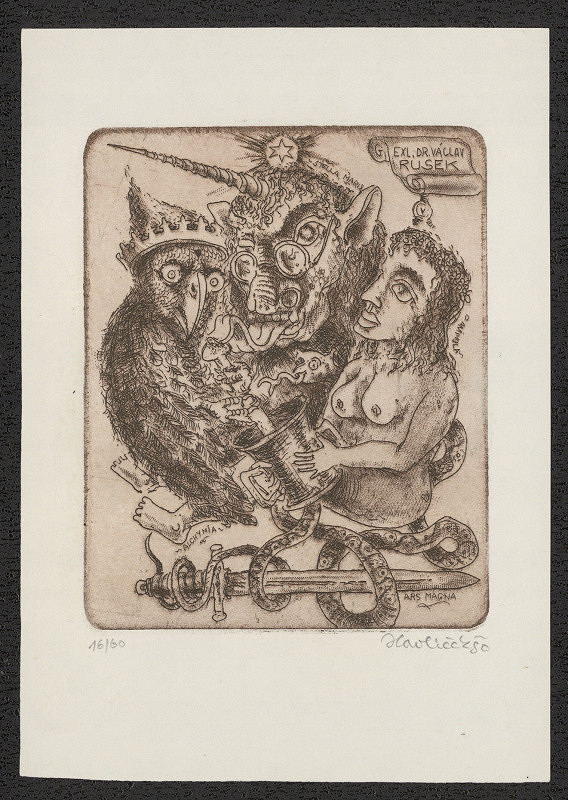 Jiří Havlíček – EXL. Dr. Václav Rusek 