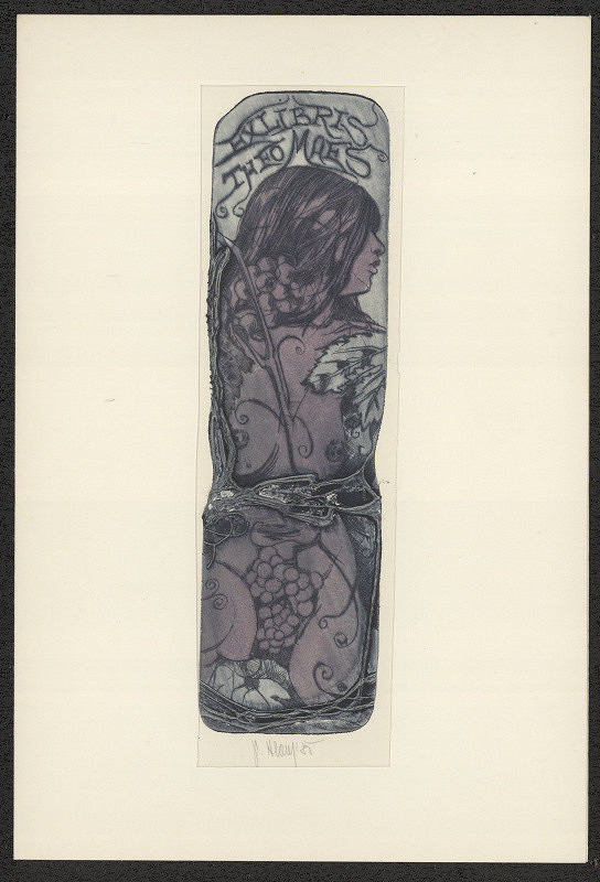 Pavel Hlavatý – Ex libris Theo Maes 