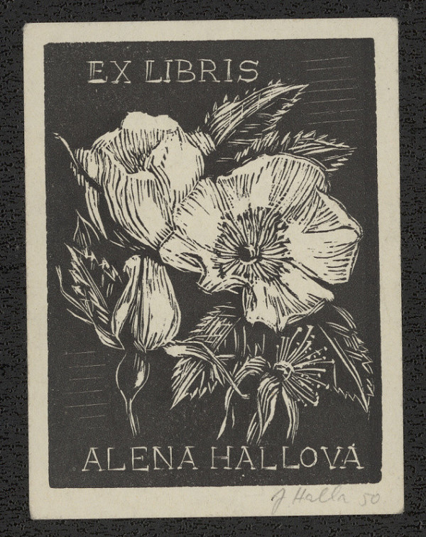 Jan Halla – Ex libris Alena Hallová 